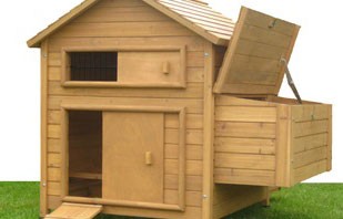 chicken-houses
