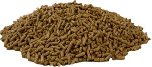 Layers Pellets