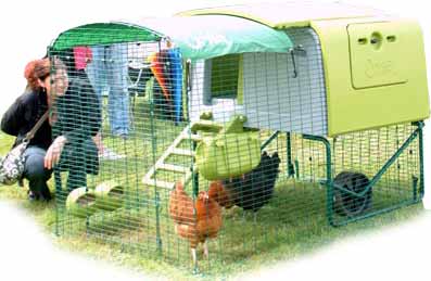 plastic chicken coop