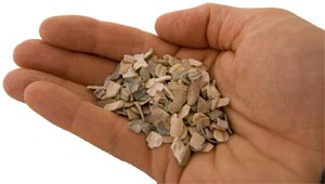 oystershell grit for chickens