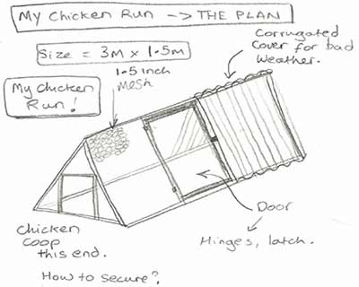 my chicken run design