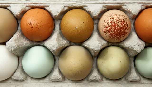 Coloured-Eggs